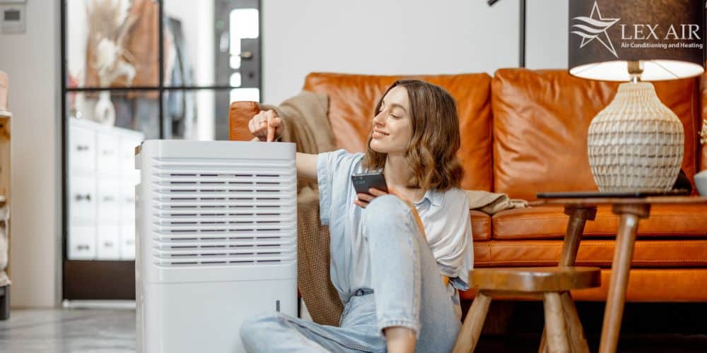 Dehumidifiers in Carrollton TX