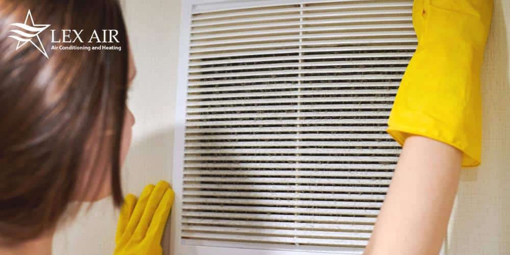 How To Remove Indoor Allergens from Your Home