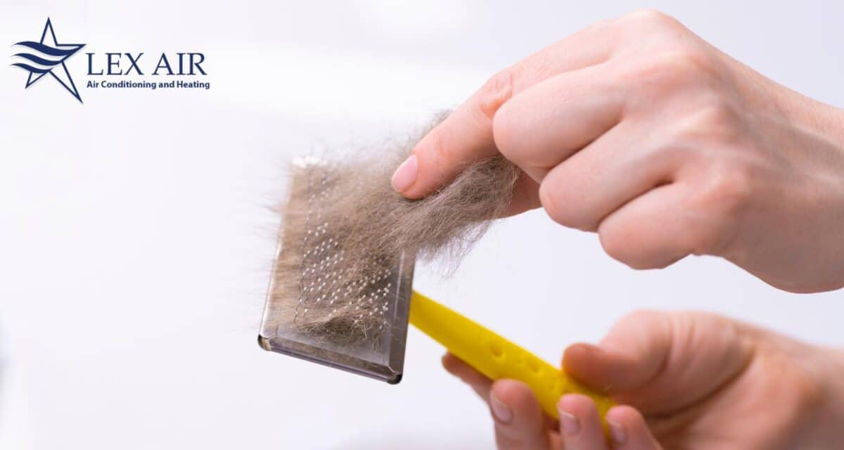 How To Remove Allergens From Your Home Lex Air Conditioning