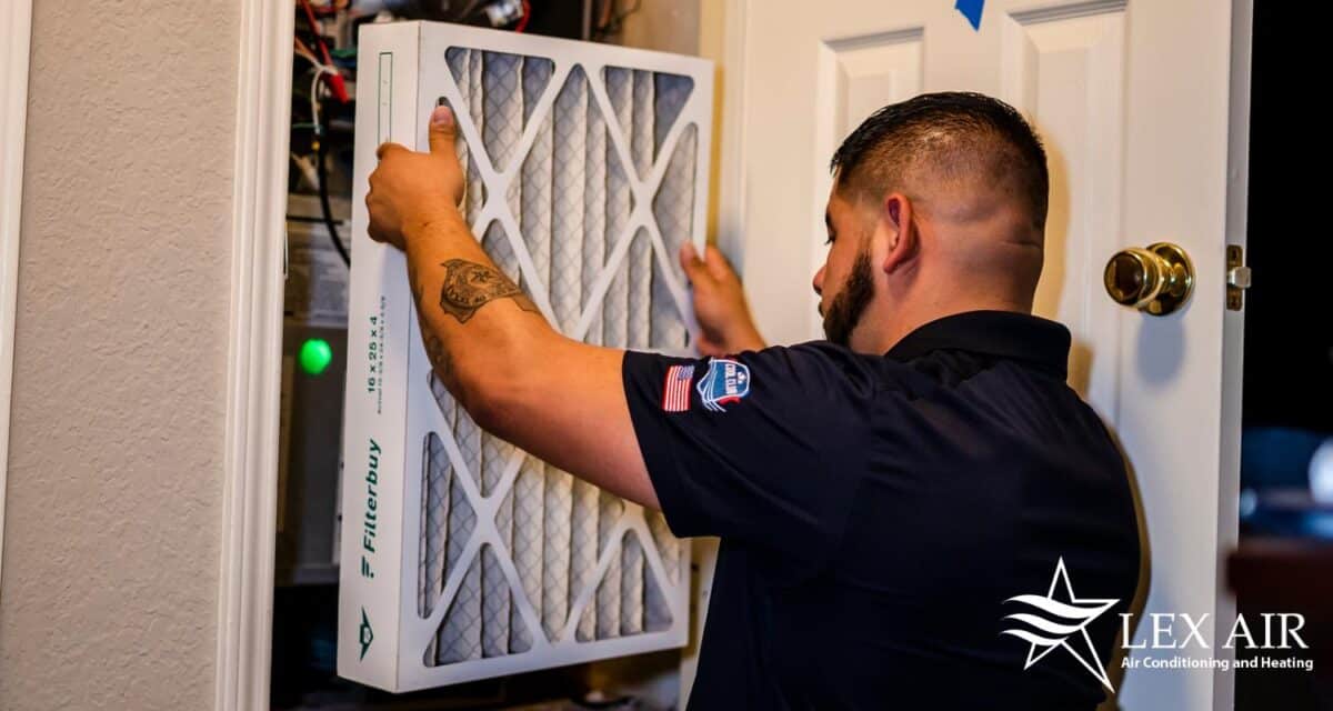 How To Remove Allergens From Your Home Lex Air Conditioning