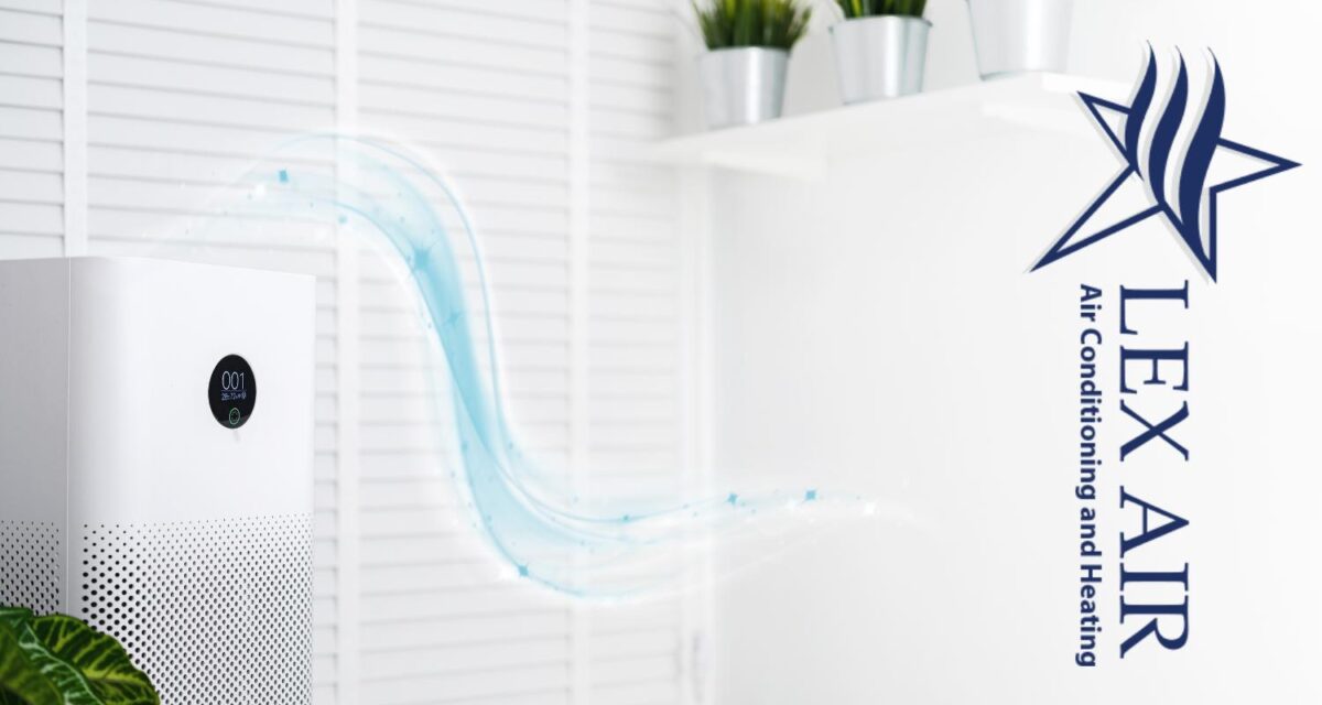 How To Remove Allergens From Your Home Lex Air Conditioning