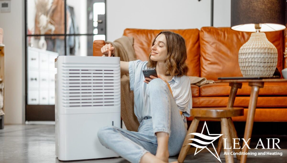 Air Scrubbers vs Air Purifiers How They Clean Your Air Lex Air