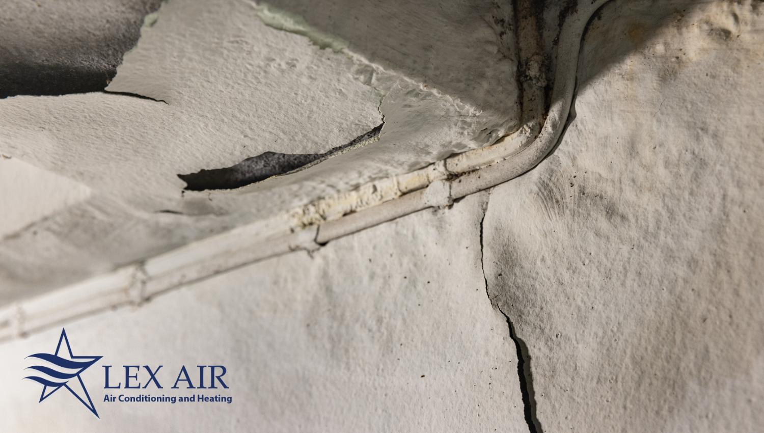 Carrollton Slab Leak Repair Services