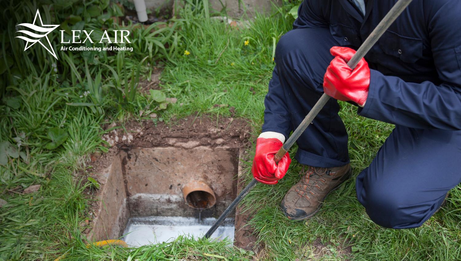 Professional Drain Cleaning Services in Carrollton