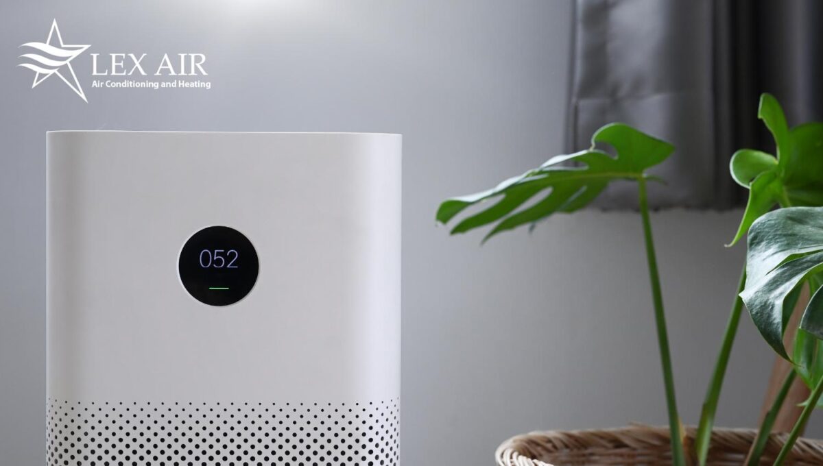 Do air purifiers help with dust