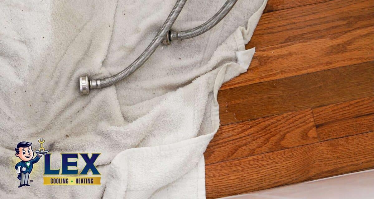 Why is My Washer Leaking? Potential Causes and Solutions