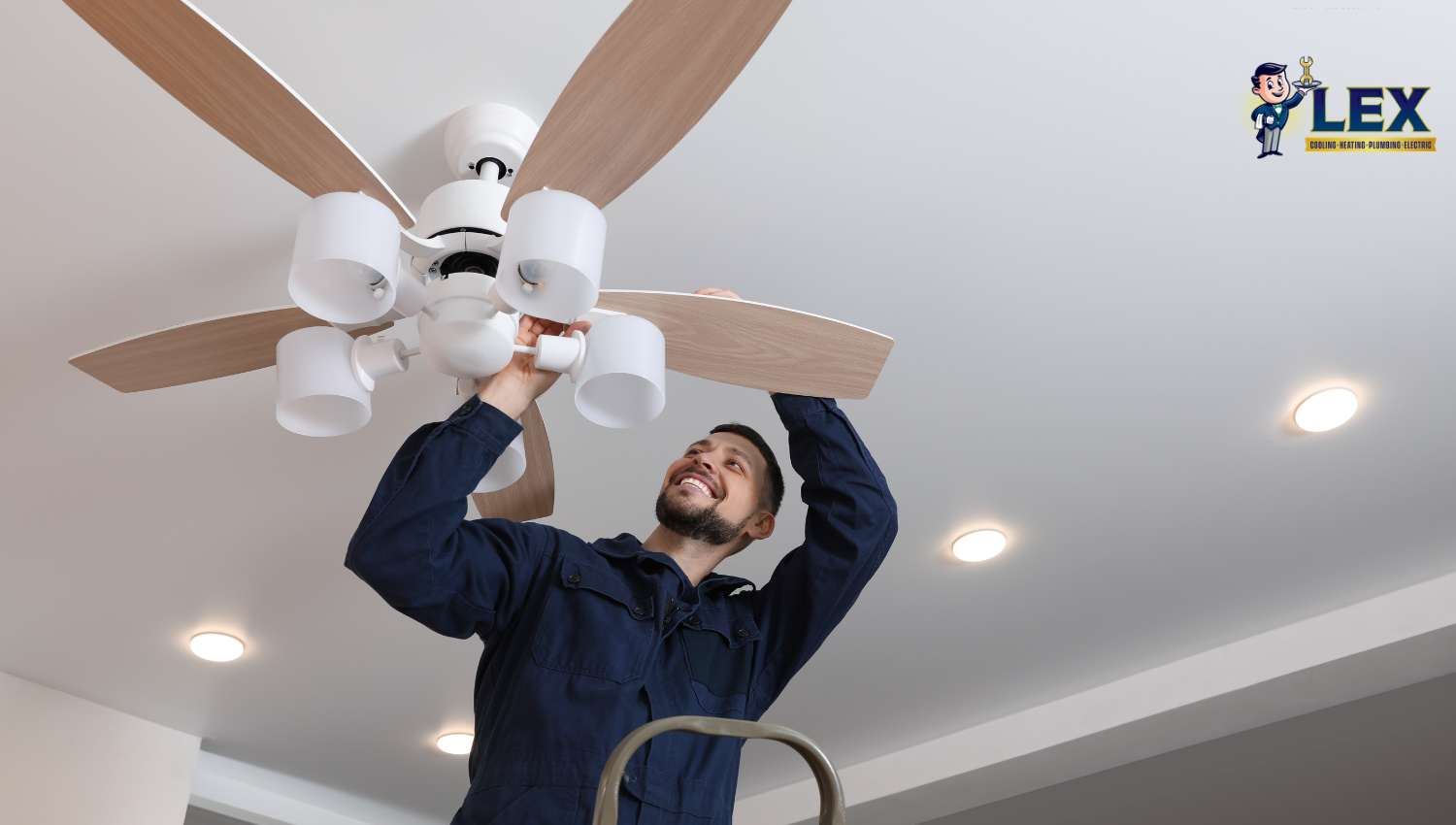 ceiling fans carrollton