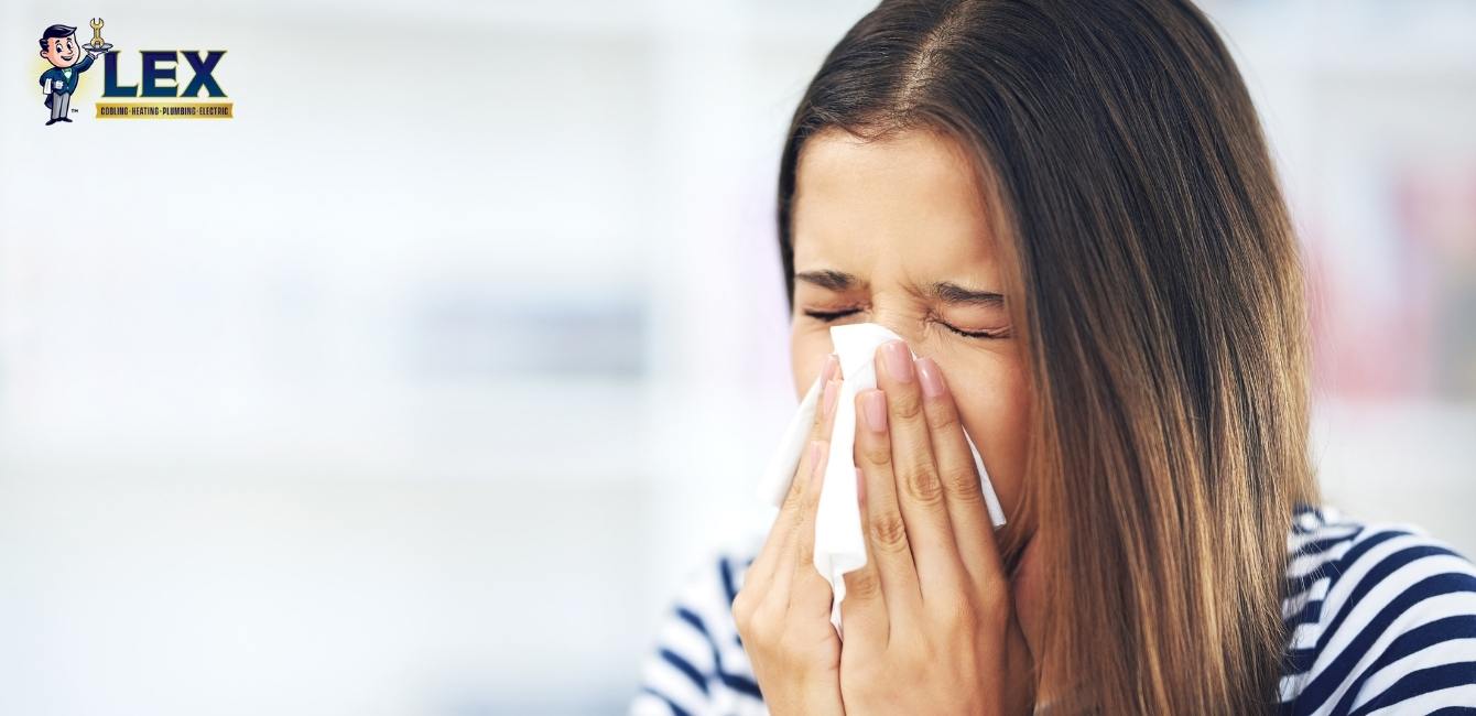 Dallas Indoor Air Quality Services