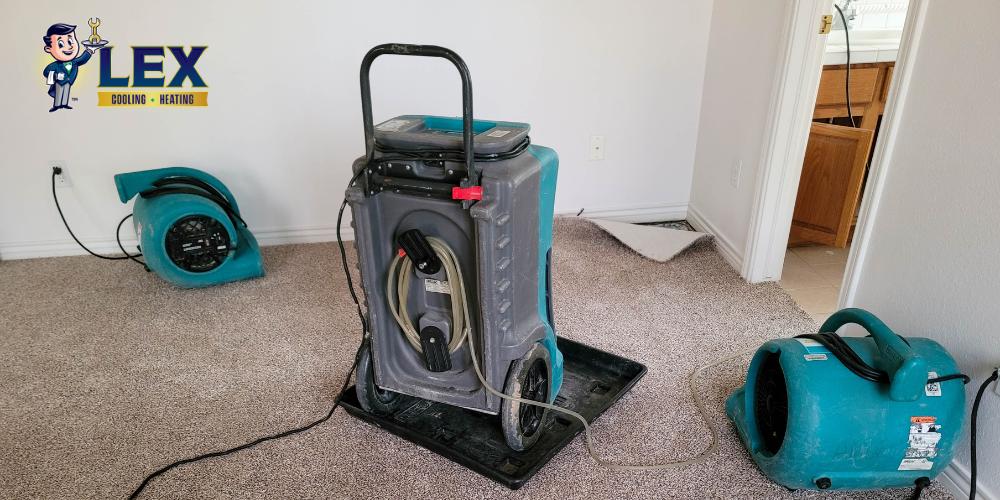 Indoor Air Quality tech in DFW