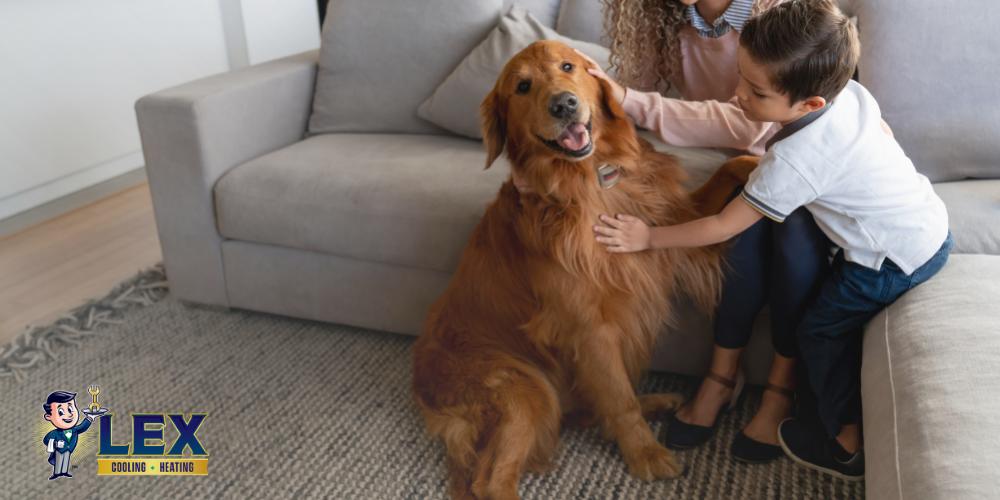 Texas Whole-House Dehumidifier tech