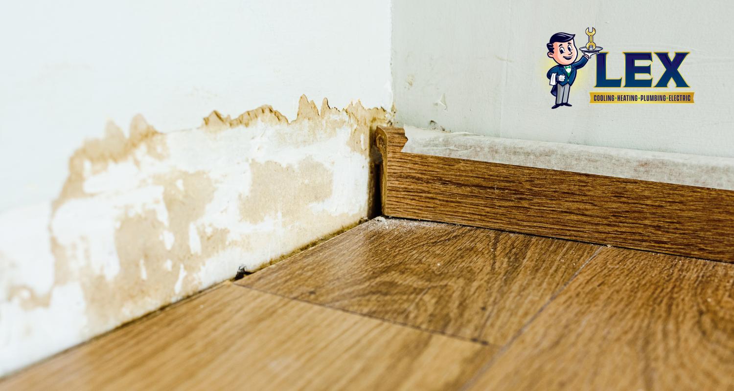 carrollton tx emergency plumber