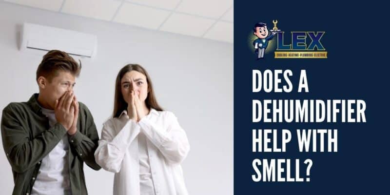 does a humidifier help with smell