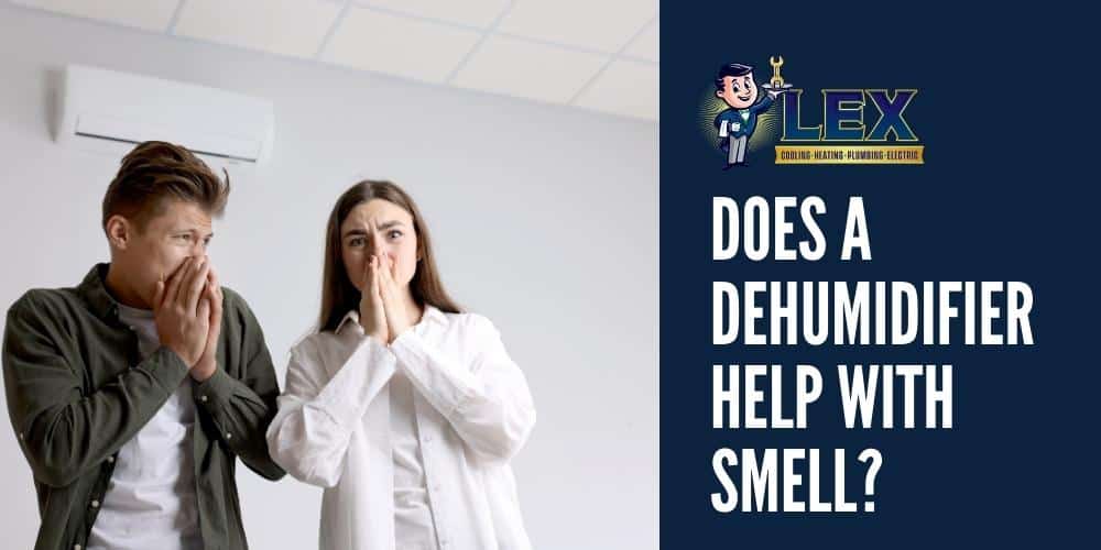 does a humidifier help with smell